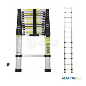 TELESCOPIC LADDER (5M)
