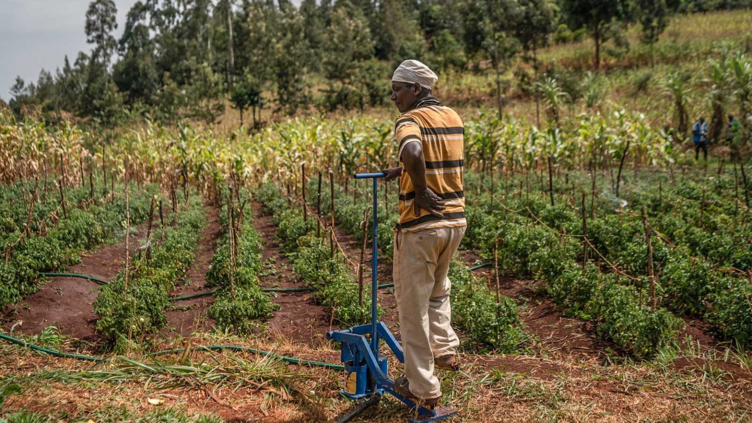 in_action_max_kenya_i-6gkQWCq-X3-1536x864