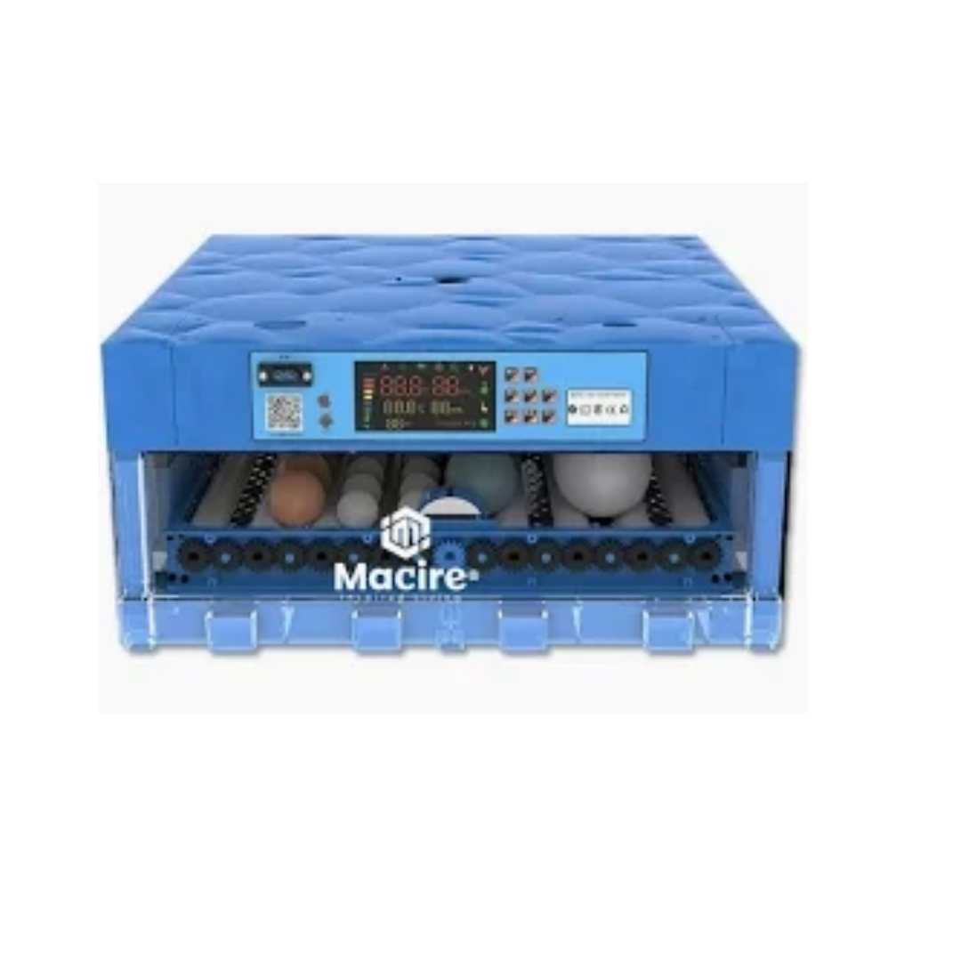 80W AC DC egg incubator with automatic roller 80W AC DC egg incubator with automatic roller
