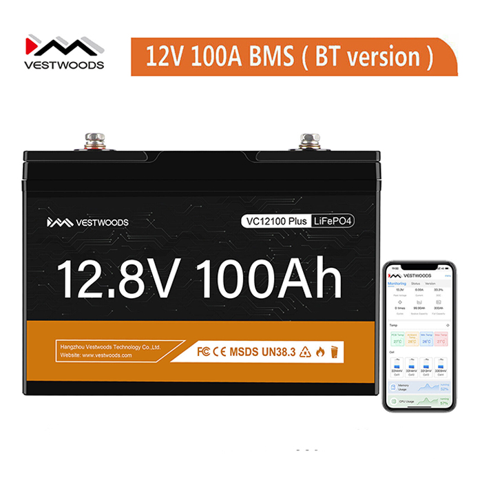 Vestwoods-12V-100Ah-Lithium-LiFePO4-Battery-in-kenya-at-the-best-prices-2