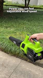 20V Deli Cordless Leaf Blower EDG012-1 1