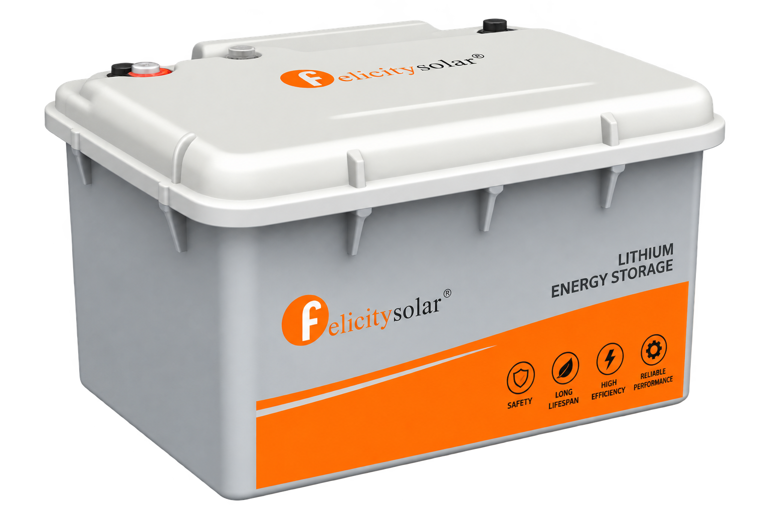 Felicity battery